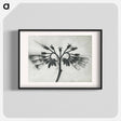アートポスター-Symphytum officinale (Common Comfrey) enlarged 8 times from Urformen der Kunst by Karl Blossfeldt - カール ブロスフェルト Poster.