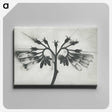 1-32_Karl-Blossfeldt_canvas