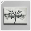 アートパネル-Symphytum officinale (Common Comfrey) enlarged 8 times from Urformen der Kunst by Karl Blossfeldt - カール ブロスフェルト Canvas.