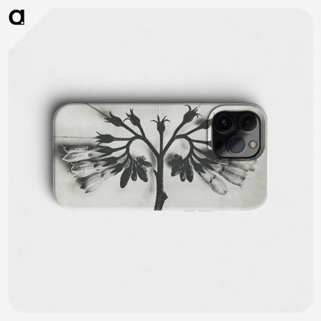 1-32_Karl-Blossfeldt_phone