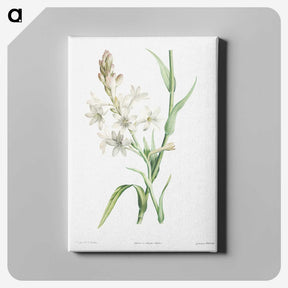 1-32_La-Botanique_canvas