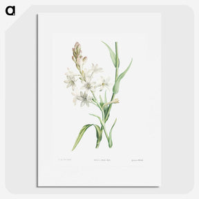 1-32_La-Botanique_picture