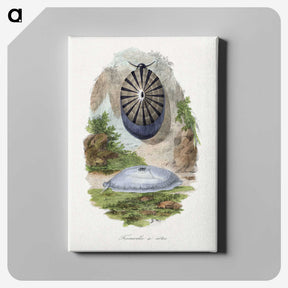 1-32_Le-Jardin-des-Plantes_canvas