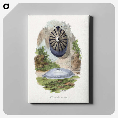 1-32_Le-Jardin-des-Plantes_canvas