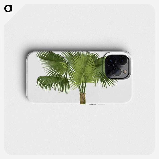 1-32_Les-Palmiers-Histoire-Iconographique_phone
