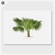 1-32_Les-Palmiers-Histoire-Iconographique_picture