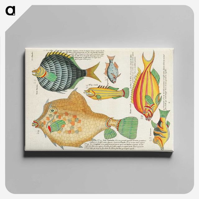 1-32_Louis-Renard_canvas