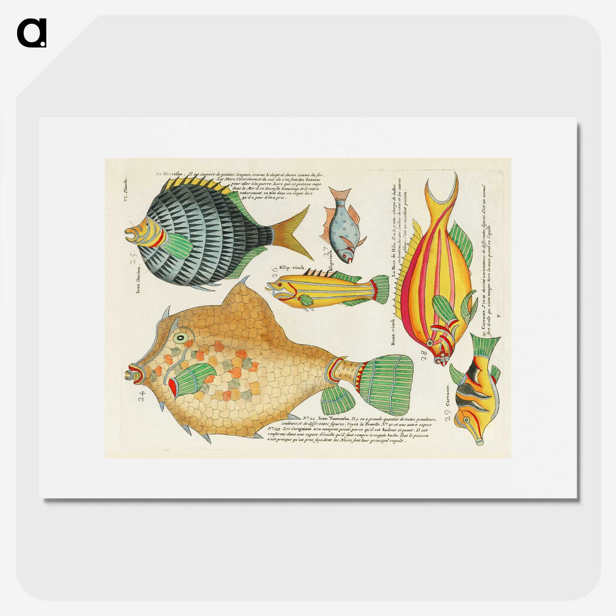 1-32_Louis-Renard_picture