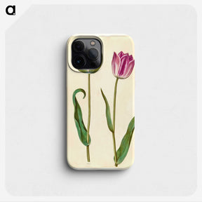 1-32_Maria-Sibylla-Merian_phone