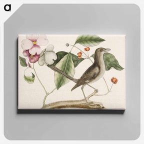 アートパネル-Mock Bird
 - マーク ケイツビー Canvas.
