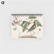 1-32_Mark-Catesby_memo
