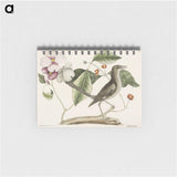 1-32_Mark-Catesby_memo