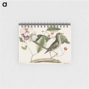 1-32_Mark-Catesby_memo