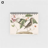アートメモ帳-Mock Bird
 - マーク ケイツビー Memo.