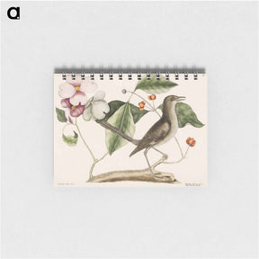 アートメモ帳-Mock Bird
 - マーク ケイツビー Memo.