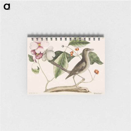 アートメモ帳-Mock Bird
 - マーク ケイツビー Memo.