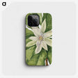1-32_Mary-Vaux-Walcott_phone