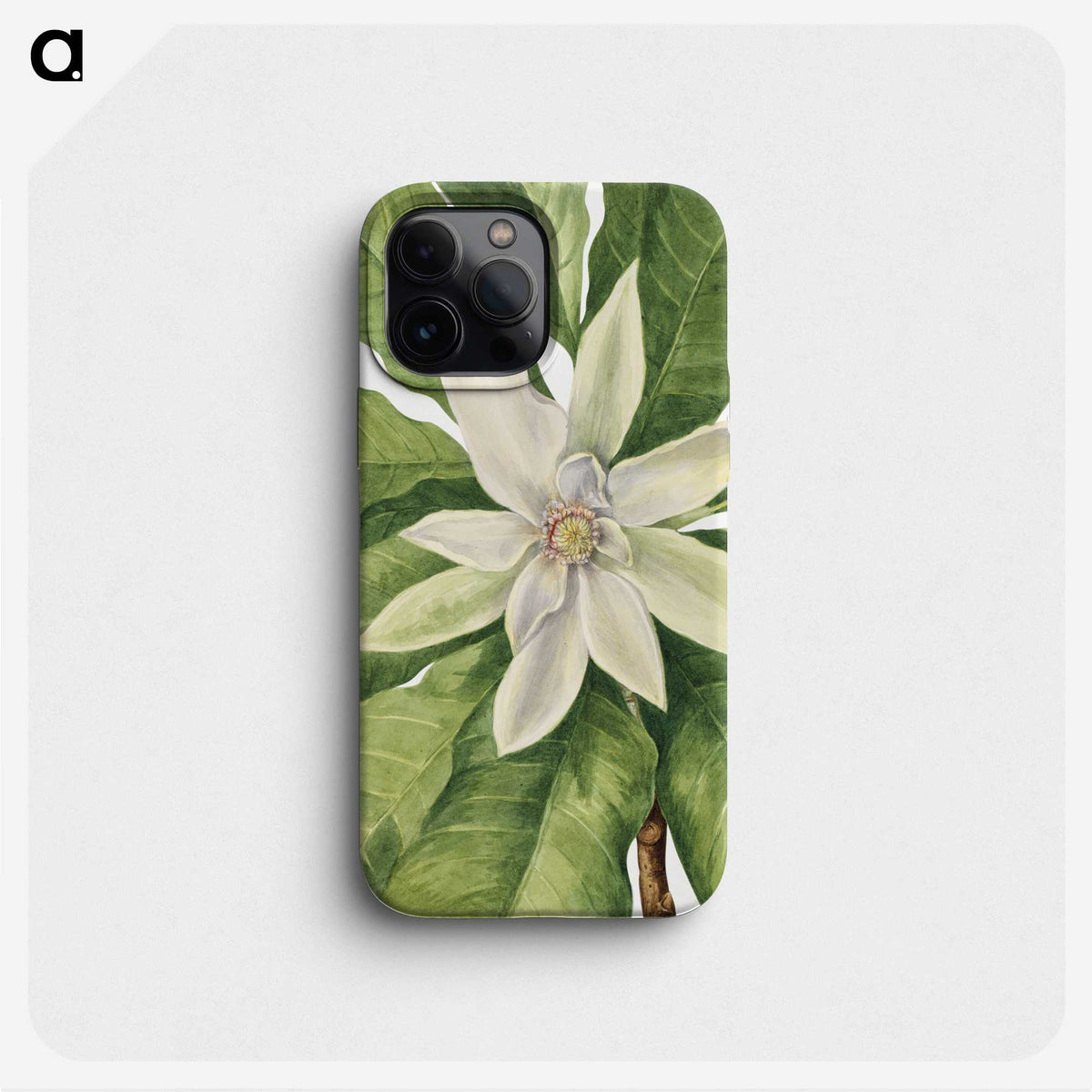 1-32_Mary-Vaux-Walcott_phone