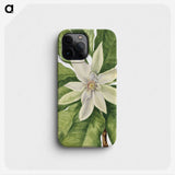 1-32_Mary-Vaux-Walcott_phone