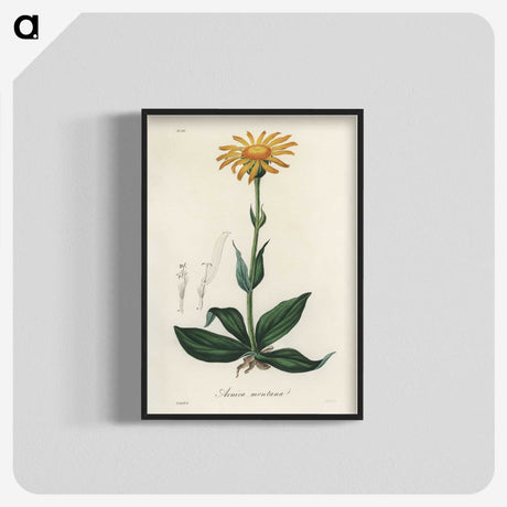 1-32_Medical-Botany_blk-crop