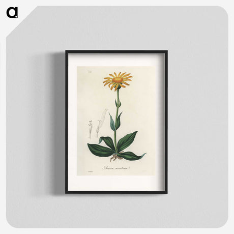 1-32_Medical-Botany_blk