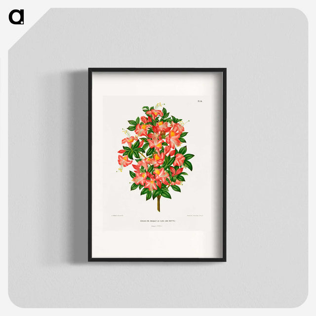 1-32_Nederlandsche-Flora-en-Pomona_blk
