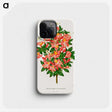 1-32_Nederlandsche-Flora-en-Pomona_phone
