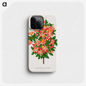 1-32_Nederlandsche-Flora-en-Pomona_phone
