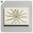 1-32_New-and-Rare-Beautiful-Leaved-Plants_canvas