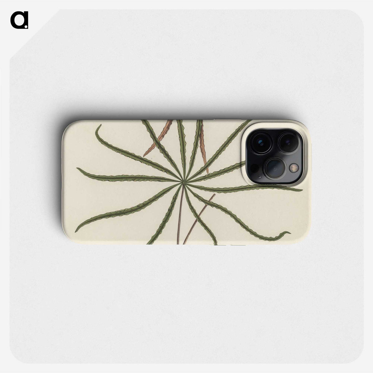 1-32_New-and-Rare-Beautiful-Leaved-Plants_phone