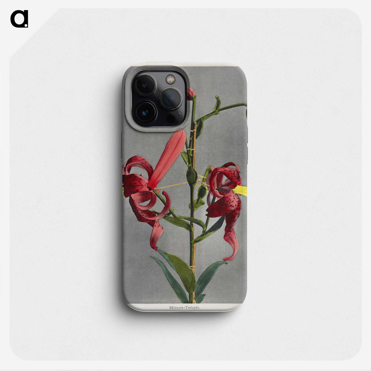 1-32_Ogawa-Kazumasa_phone