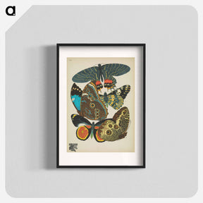 アートポスター-Vintage Butterflies
 - パピヨン Poster.