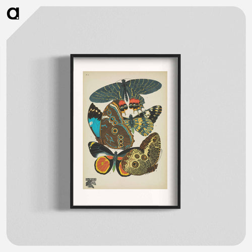 Vintage Butterflies
 - パピヨン Poster.