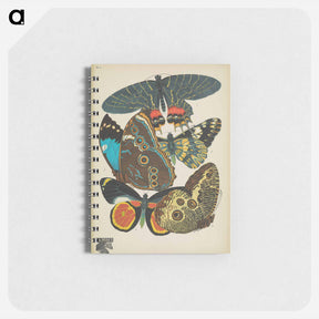 アートメモ帳-Vintage Butterflies
 - パピヨン Memo.