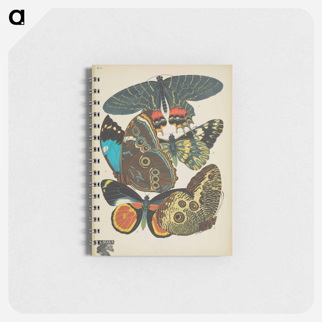 アートメモ帳-Vintage Butterflies
 - パピヨン Memo.