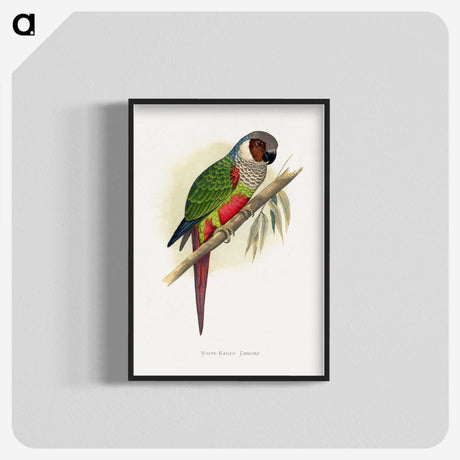 1-32_Parrots-in-Captivity_blk-crop