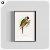1-32_Parrots-in-Captivity_blk