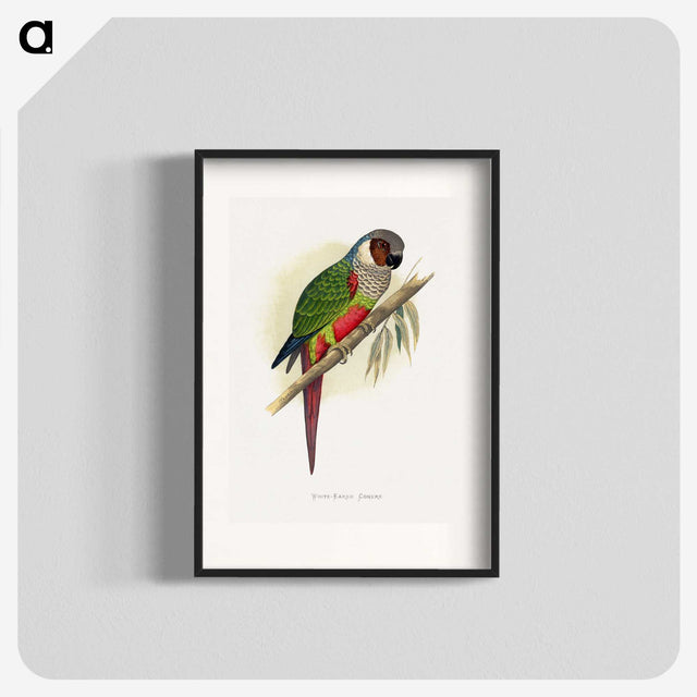 1-32_Parrots-in-Captivity_blk