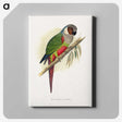 1-32_Parrots-in-Captivity_canvas