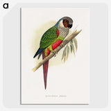 1-32_Parrots-in-Captivity_picture-crop