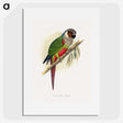 1-32_Parrots-in-Captivity_picture