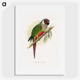 1-32_Parrots-in-Captivity_picture