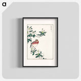 アートポスター-Japanese Long-tailed Rosefinch
 - 鳥類図鑑 Poster.