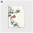 アートポストカード-Japanese Long-tailed Rosefinch
 - 鳥類図鑑 Postcard.