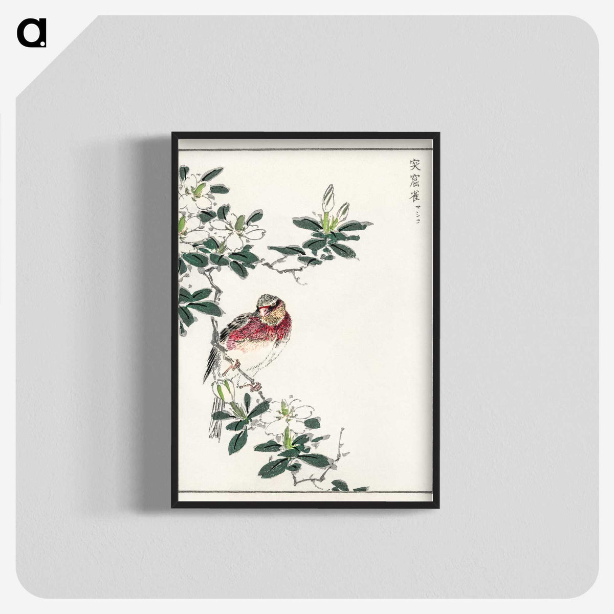 1-32_Pictorial-Monograph-of-Birds_blk-crop