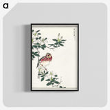 1-32_Pictorial-Monograph-of-Birds_blk-crop
