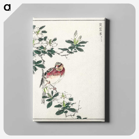 1-32_Pictorial-Monograph-of-Birds_canvas