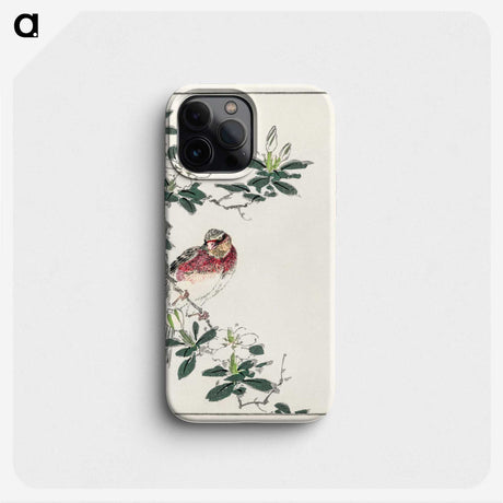 1-32_Pictorial-Monograph-of-Birds_phone