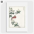 1-32_Pictorial-Monograph-of-Birds_picture