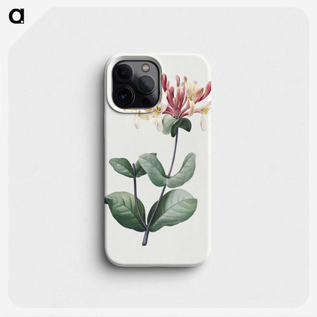 1-32_Pierre-Joseph-Redoute_phone